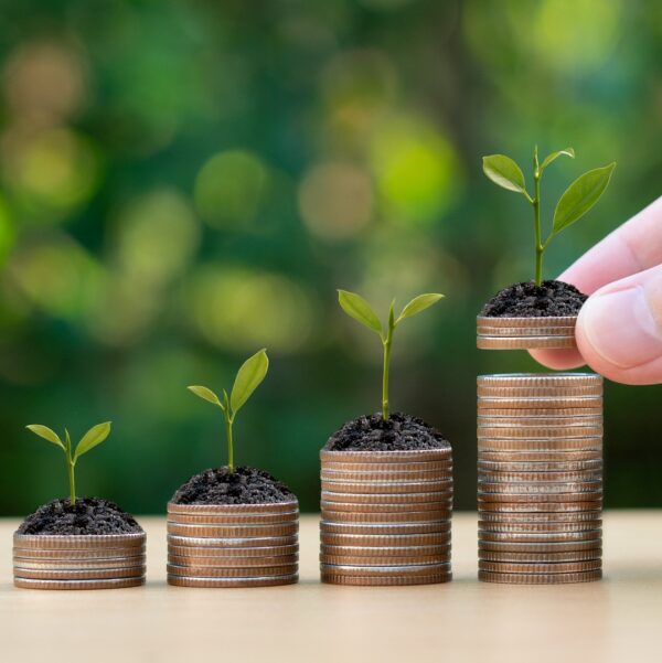 Introduction to Personal Finance (Module I)